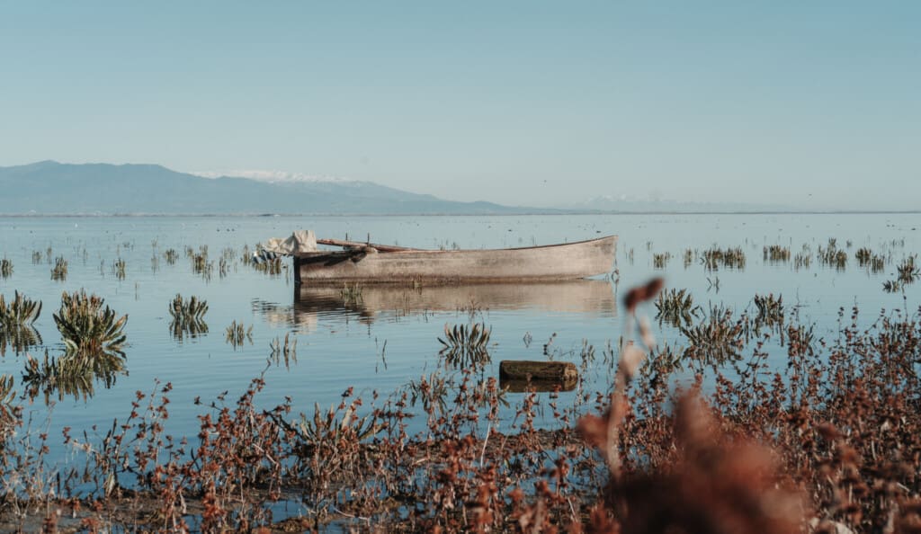 Boat in Limni Kerkini