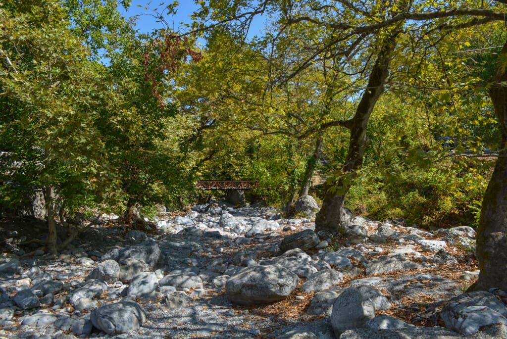 Shaded forest path with rocks and plane trees in Enipeas Gorge, Litochoro, with a small wooden bridge in the background.